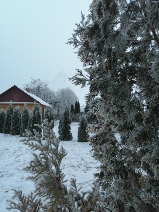 Usadba Kupalinka Ostrovo Quarto foto
