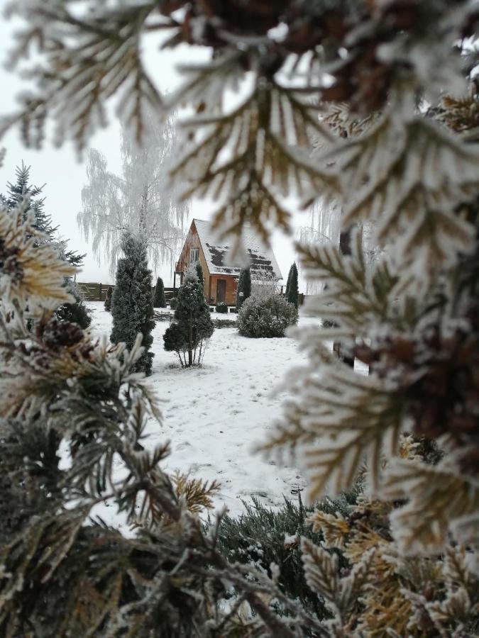 Usadba Kupalinka Ostrovo Exterior foto