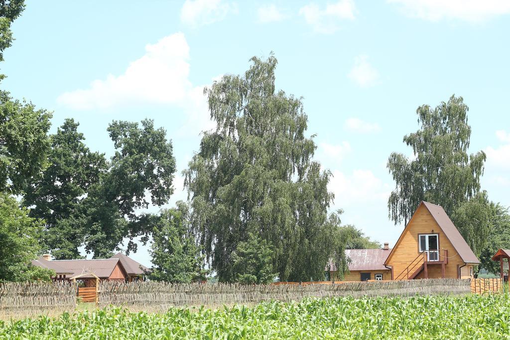 Usadba Kupalinka Ostrovo Quarto foto