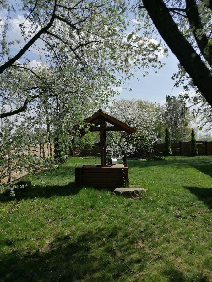 Usadba Kupalinka Ostrovo Exterior foto
